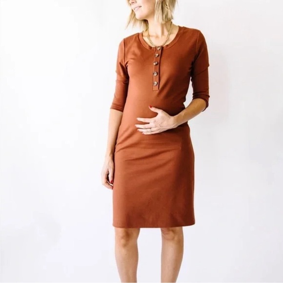 Lou Lou & Company Every Day Maternity and Nursing Dress - Picture 1 of 11